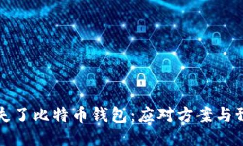 当你丢失了比特币钱包：应对方案与预防措施