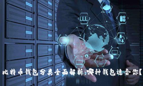 比特币钱包分类全面解析：哪种钱包适合你？