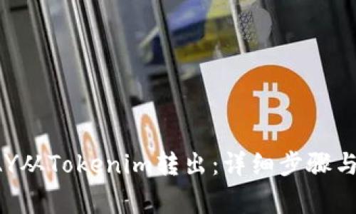 如何将PAY从Tokenim转出：详细步骤与注意事项