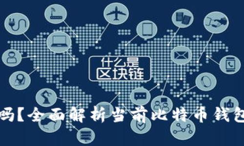 比特币钱包还能用吗？全面解析当前比特币钱包的状况与未来前景