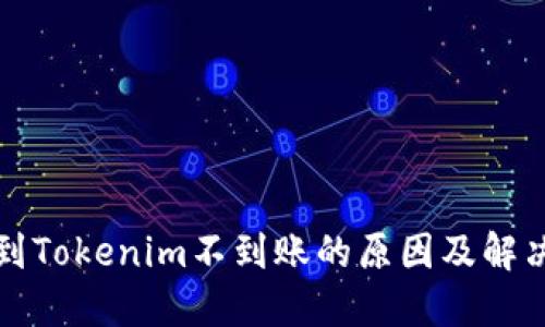 提币到Tokenim不到账的原因及解决方案