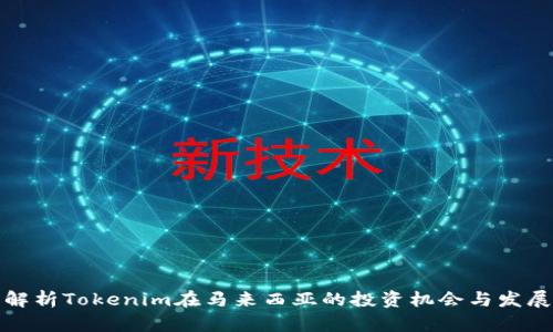 全面解析Tokenim在马来西亚的投资机会与发展前景