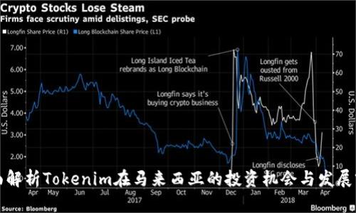 全面解析Tokenim在马来西亚的投资机会与发展前景