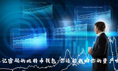 忘记密码的比特币钱包：你还能找回你的资产吗？