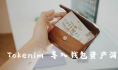 如何解决 Tokenim 导入钱包
