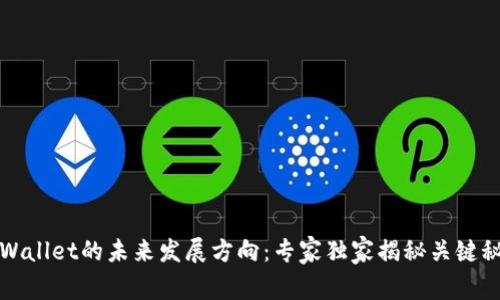 TPWallet的未来发展方向：专家独家揭秘关键秘诀