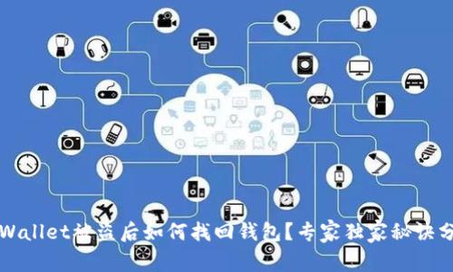 TPWallet被盗后如何找回钱包？专家独家秘诀分享