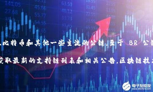 截至我最后的更新（2023年10月），TPWallet 是一个多链钱包，其特点在于对多种公链的支持，包括以太坊、比特币和其他一些主流的公链。至于 BR 公链（如有名为“BR”的区块链），并没有具体的信息表明 TPWallet 已经支持它。

如果你想了解 TPWallet 是否支持新的公链，建议访问 TPWallet 的官方网站或他们的社交媒体平台，以获取最新的支持链列表和相关公告。区块链技术发展迅速，新的项目和支持的公链可能会不断增加，所以查阅官方渠道的信息是获取最新动态的最好方式。

如果有其他具体问题，欢迎提出！