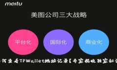 如何查看TPWallet地址记录？专家揭晓独家秘诀！