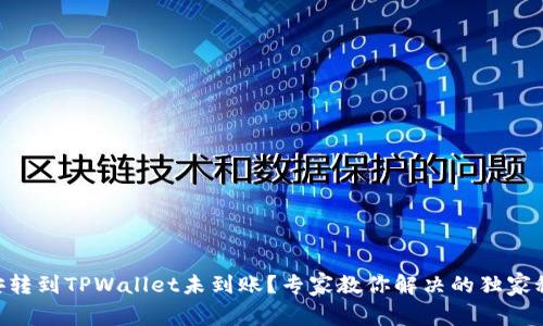 币安转到TPWallet未到账？专家教你解决的独家秘诀！
