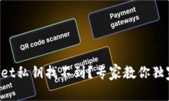 TPWallet私钥找不到？专家教你独家秘诀！