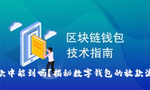 数字钱包放款中能到吗？揭秘数字钱包的放款流程与安全性