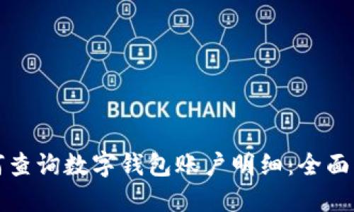 如何查询数字钱包账户明细：全面指南