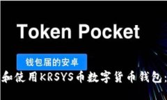 如何选择和使用KRSYS币数字货币钱包：全面指南