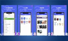 TPWallet Dot不显示余额的解决方案与常见问题解析