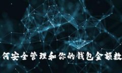 如何安全管理和你的钱包金额数字