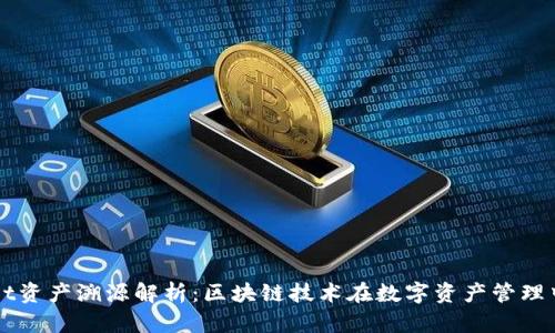 TPWallet资产溯源解析：区块链技术在数字资产管理中的应用