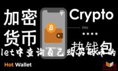 在TPWallet中查询自己购买的币的详细指南
